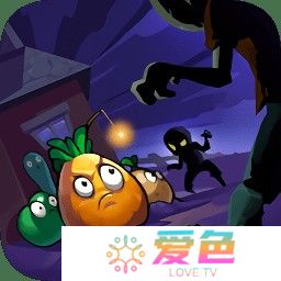 辉煌岁月