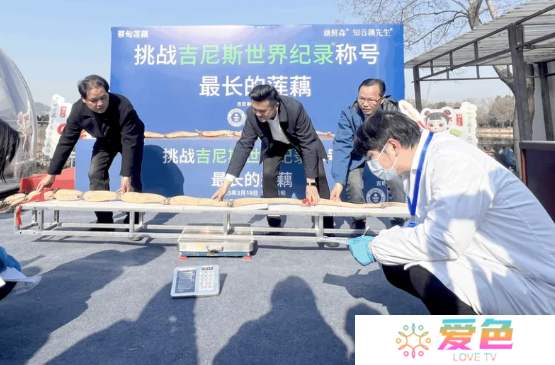 游戏攻略网1