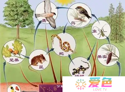 游戏攻略网2