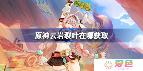 原神云岩裂叶在哪获取-原神云岩裂叶位置大全