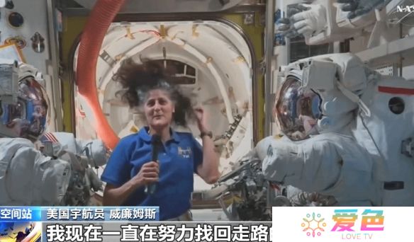 游戏攻略网