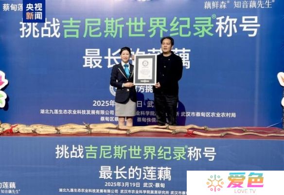 游戏攻略网2