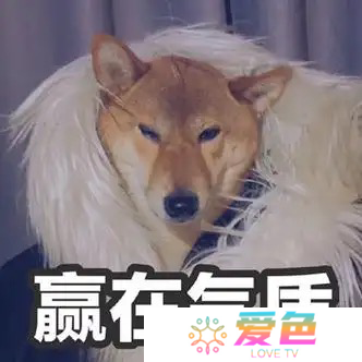 《逆水寒》最新推出的超萌JK风时装-