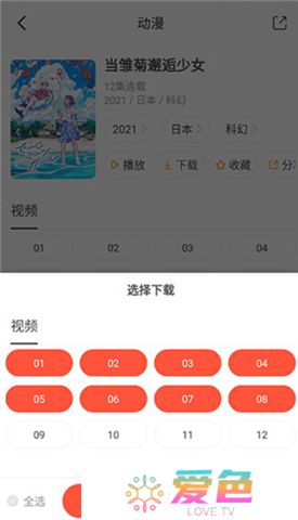 奇奇动画下载