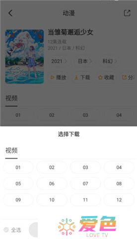 奇奇动画下载