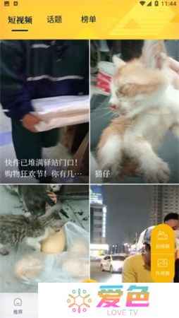 醒目视频下载安装