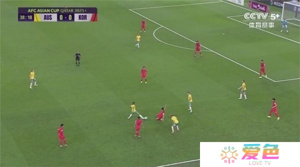 飞龙电视下载