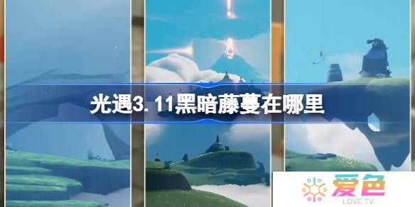 光遇3.11黑暗藤蔓在哪里-光遇3月11日染料位置攻略
