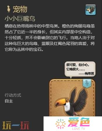 ff14小小巨嘴鸟获取攻略 7.1新宠物小小巨嘴鸟获得方法