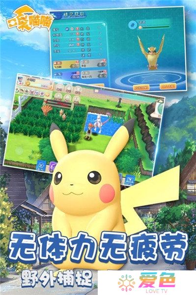 口袋喵喵九游秒杀版