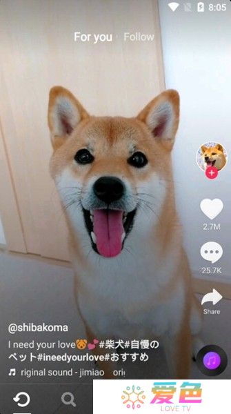 tiktok轻量版