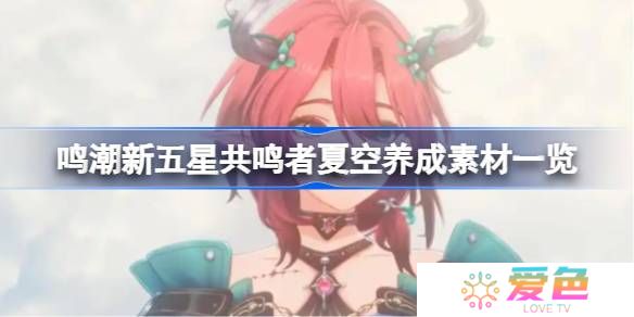 鸣潮新五星共鸣者夏空养成素材一览-鸣潮新五星共鸣者夏空养成素材有哪些
