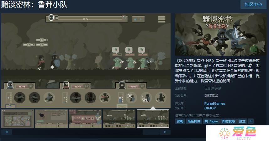 回合制游戏《黯淡密林：鲁莽小队》Steam页面 发售日待定
