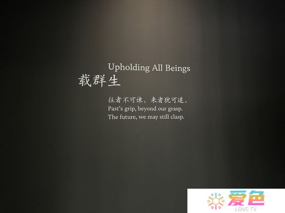 游戏攻略网6