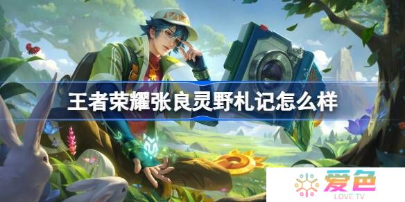 王者荣耀张良灵野札记么样 王者荣耀张良灵野札记皮肤特效一览