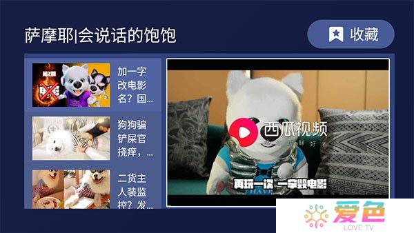 欢视助手安卓版