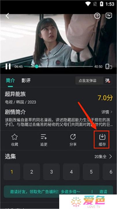 海鸥影评下载