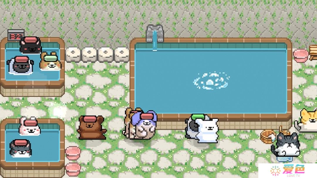 模拟游戏《动物温泉》Steam页面上线 明年发售