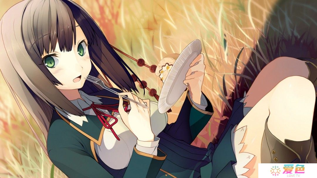 雪碧社作品《恋爱与选举与巧克力》Steam页面上线 年内发售