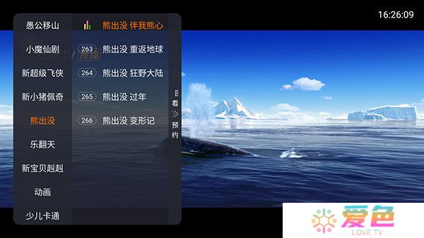 白熊直播