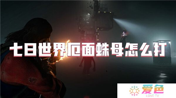 七日世界厄面蛛母打法