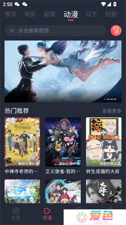 一只猫影视