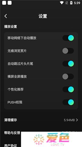 大芒追剧手机版