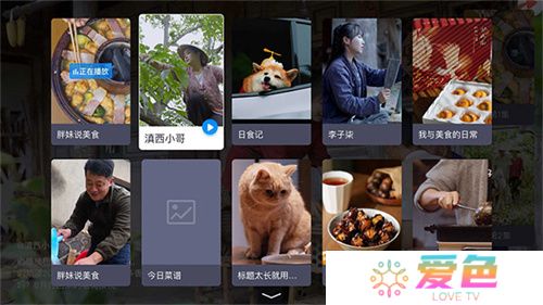 电视家电视版