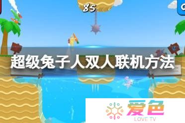 疯狂兔子人双人联机